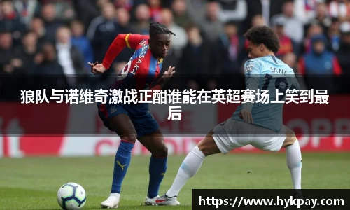 狼队与诺维奇激战正酣谁能在英超赛场上笑到最后